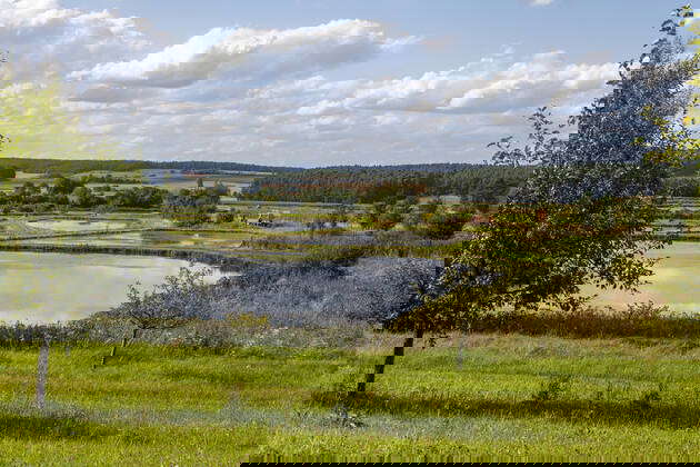 On the way in Franconia, Franconian Pond Landscapes Great Carp Pond
