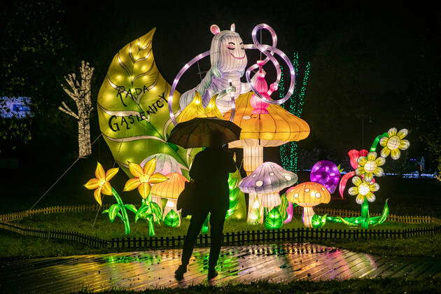 Alice in the Wonderland- The Garden of Lights in Krakow Alice in the ...