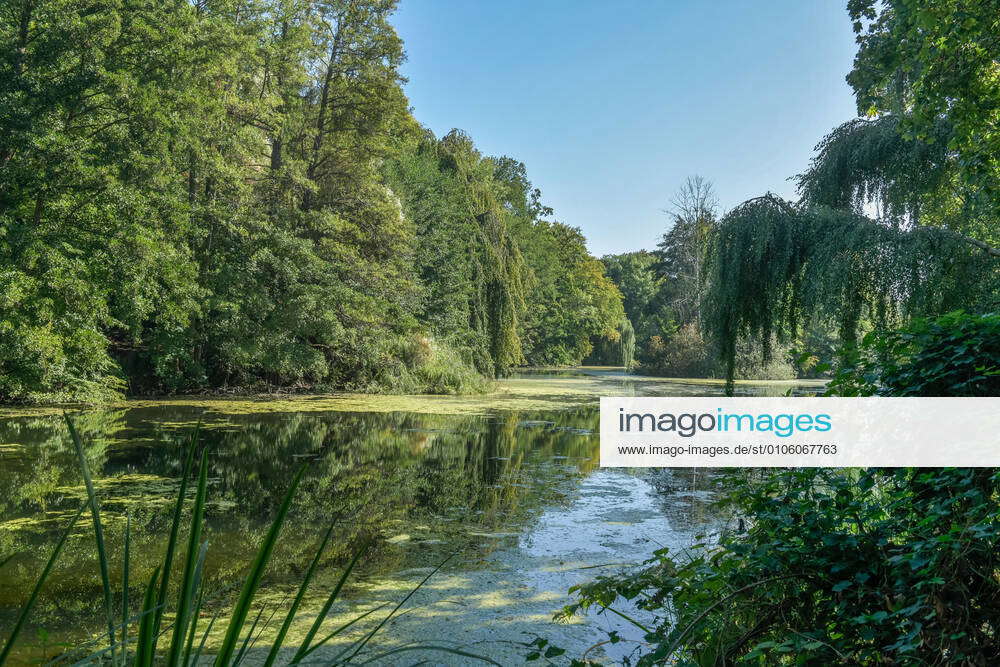 Hubertussee, Grunewald, Charlottenburg Wilmersdorf, Berlin