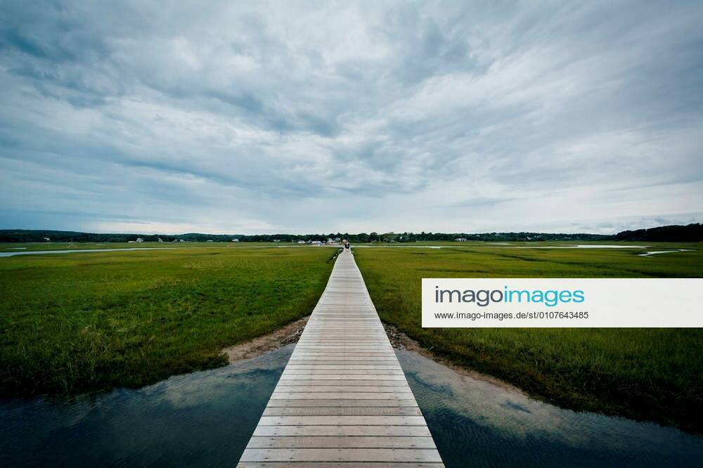 The Sandwich Boardwalk and a wetland, in Sandwich, Cape Cod ...