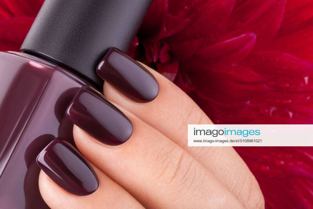 Premium Photo | Red matte nails. beautiful manicure.