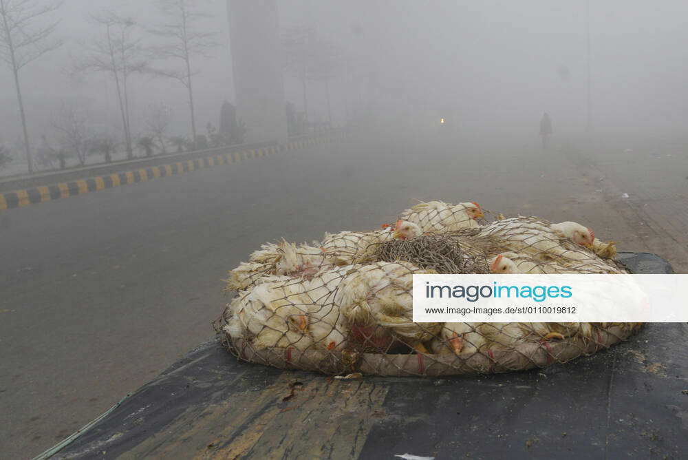 Pakistan Dense fog on a cold winter morning in Lahore Pakistani