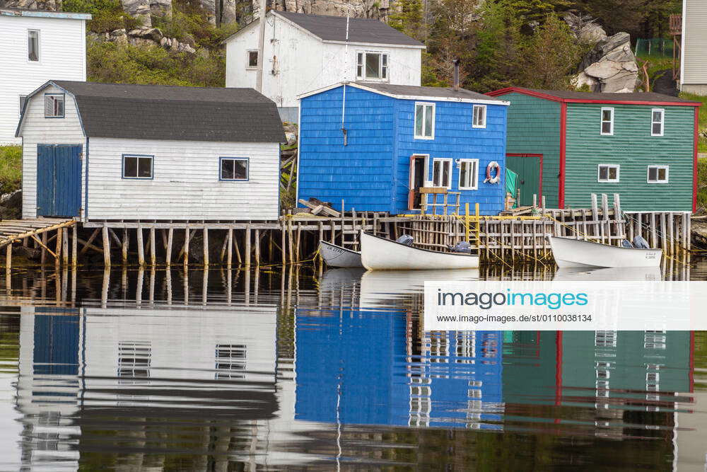 Colourful houses overlooking inner harbour of Rose Blanche, with moored fishing boats, Rose