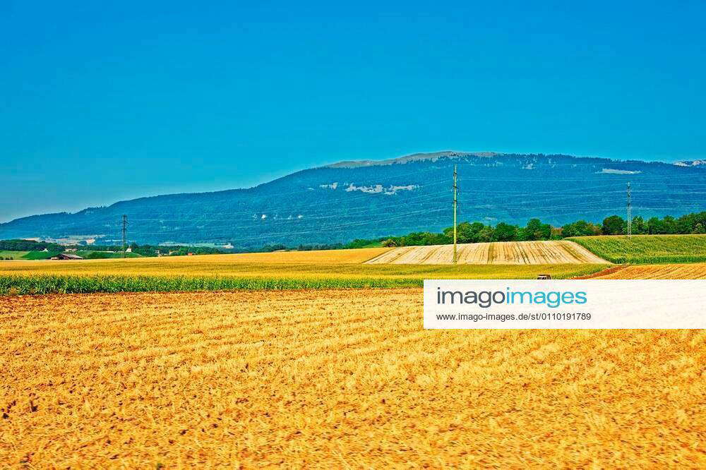 Tractor at field works in a Swiss village, Yverdon les Bains in Jura