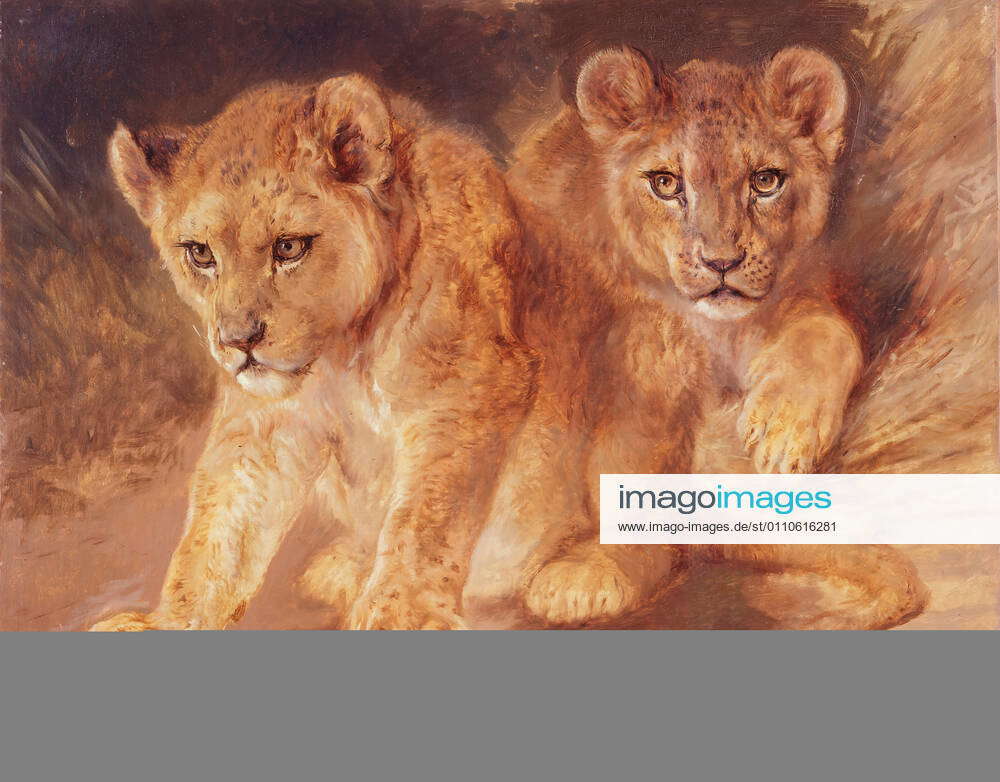 Rosa Bonheur, Lion Cubs, n.d., oil on canvas, 25 in. x 31 1 4 in. (63.5 ...