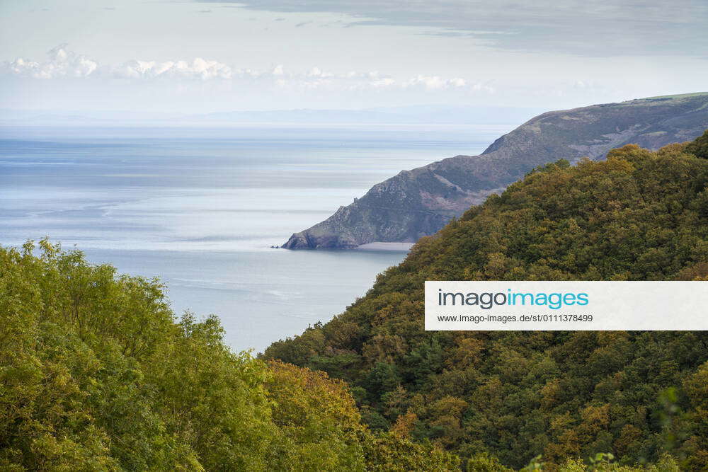 Autumnal view over Culbone and Yearnor Wood to Bossington Hill and the ...