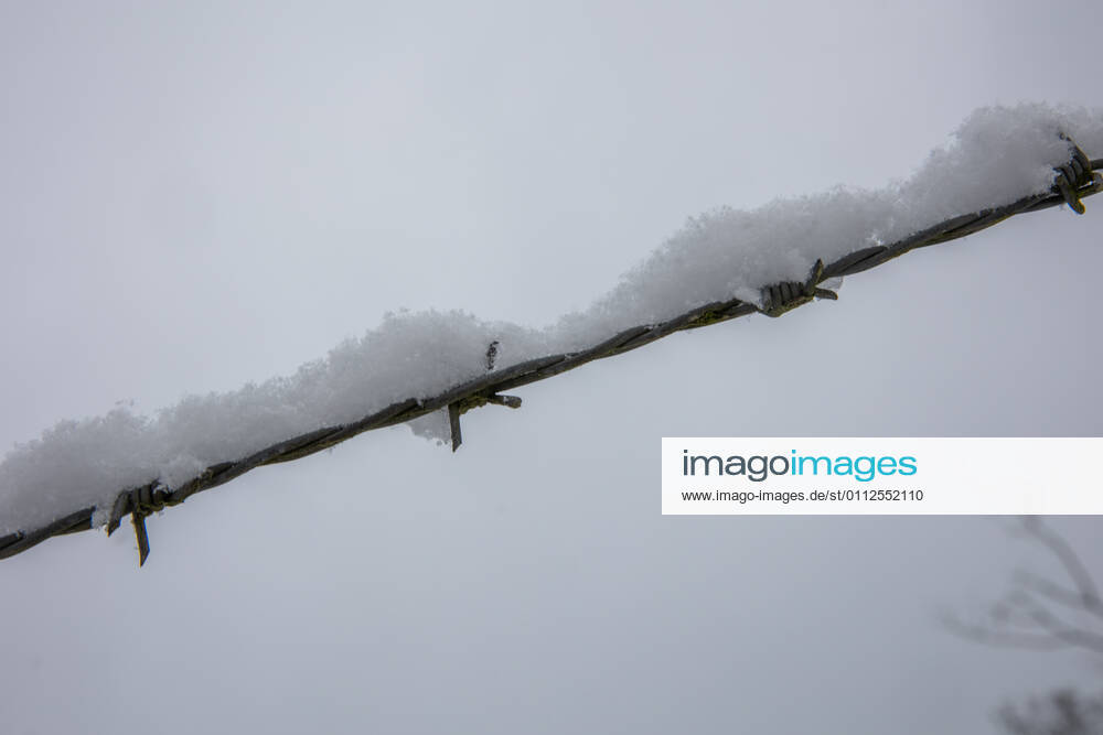 Barbed wire fence snowy landscape in winter barbed wire