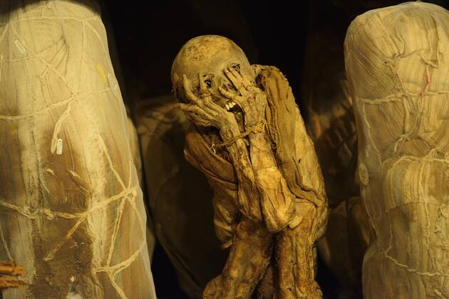 Mummies of the Chachapoya culture in the museum of Leymebamba, Chachapoyas  province, Amazonas