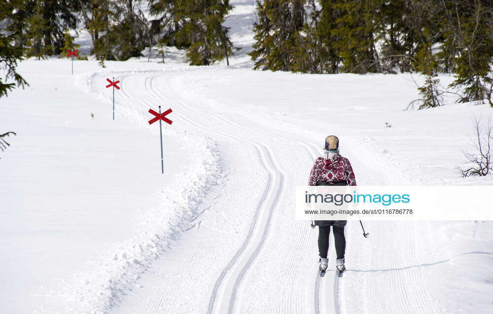 Skiing in Salen, Sweden SÄLEN SWEDEN x71515x