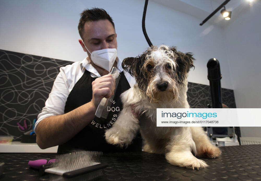 Dog groomer and shop owner Martin Kuruc, wearing a face mask to protect