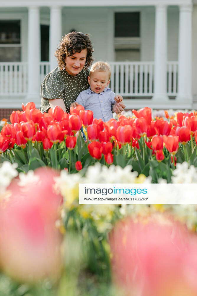 Mother exploring tulips with toddler son in spring Bridgeport, CT