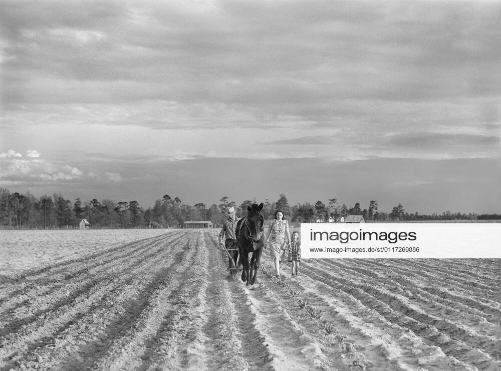 Levy Usher and his Family plowing their two-acre tract in the Community