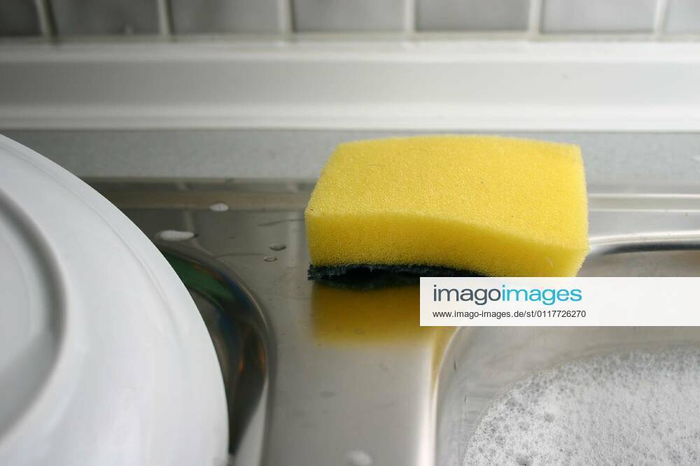 Rinsing sponge