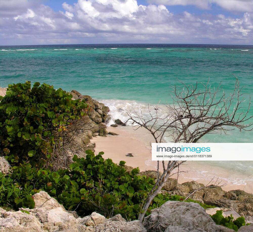 Crane Beach