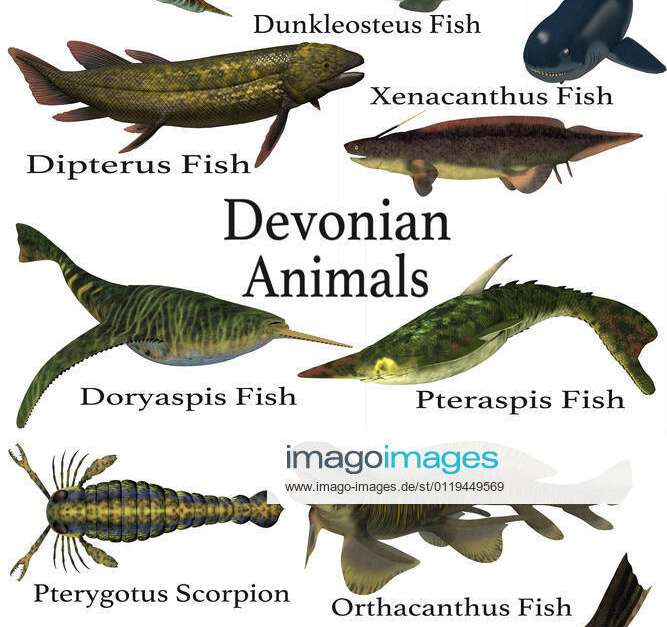 devonian animals