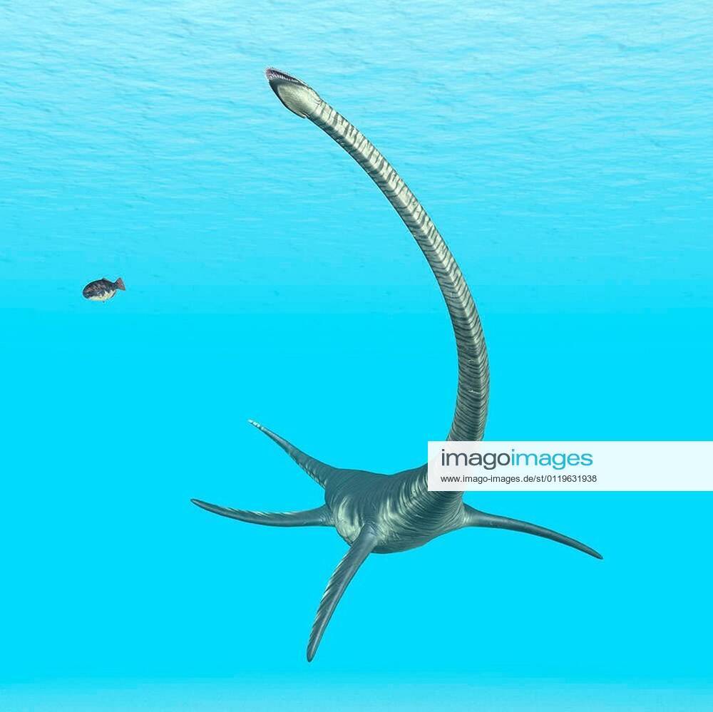 Computer generated 3D illustration with the prehistoric Plesiosaur ...