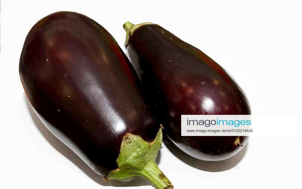 Eggplant is a species of nightshade commonly known in British English