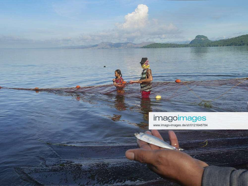 Philippines: Tawilis Pukot Fishing is back Taal Lake s water is clear  again, but Taal Volcano