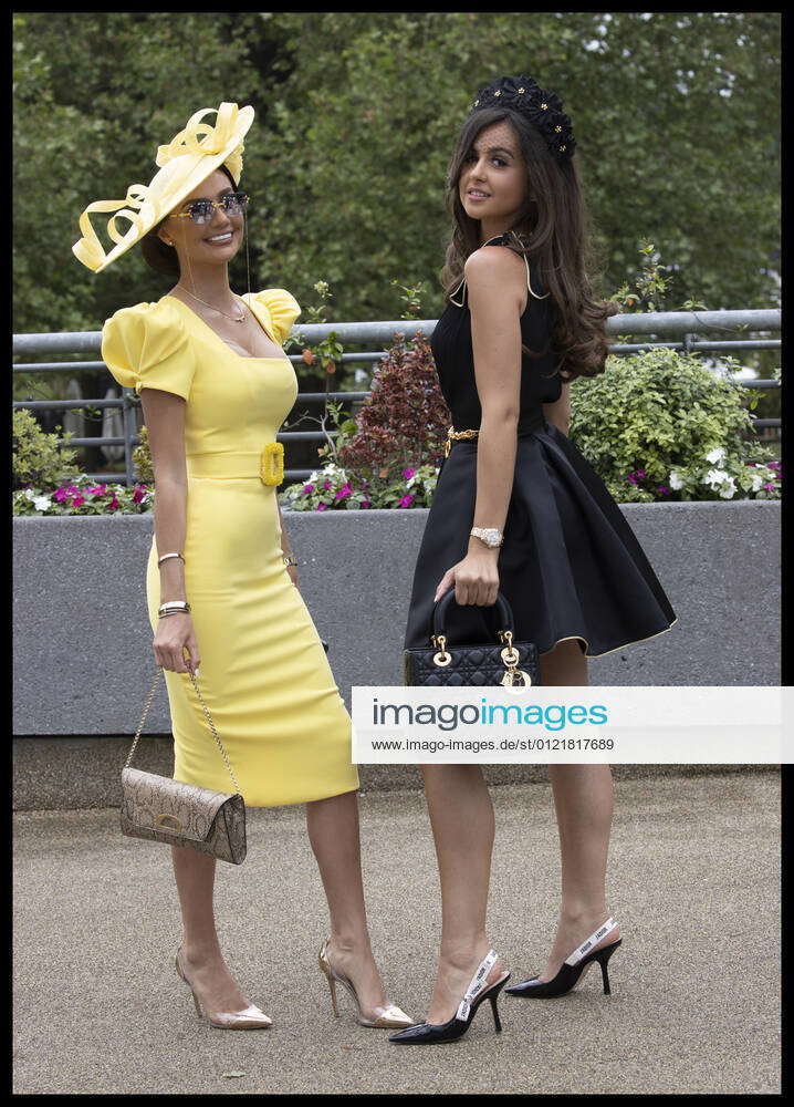 Absolutely ascot outlet dresses