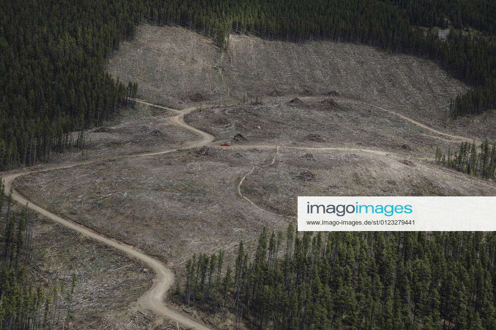 June 1, 2021, Calgary, ab, Canada Logged areas near the Valory