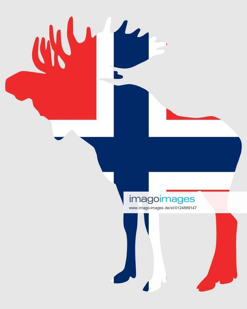 Moose in Norway flag