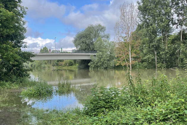 Hochwasser In Gernsheim photos | IMAGO