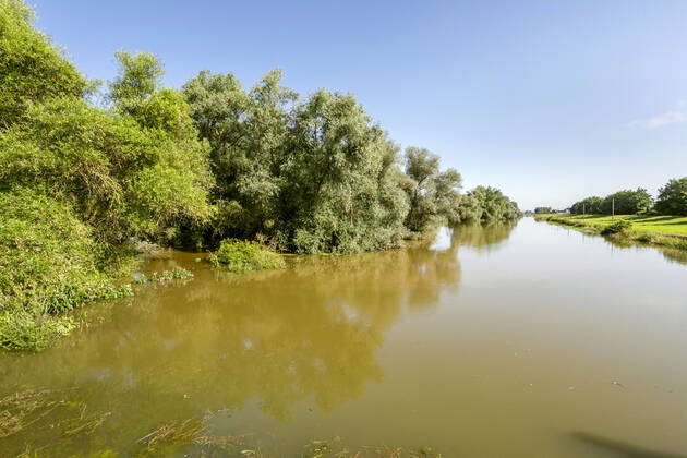 Flooding After Heavy Rain In Nrw In The Nature Reserve On The 