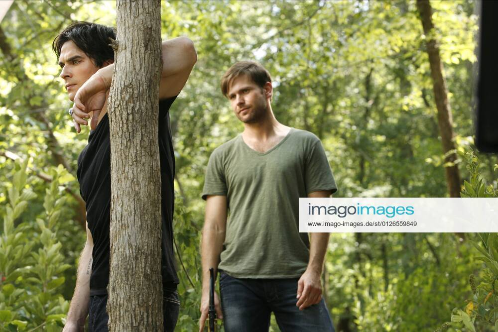 Damon and Alaric  Vampire diaries damon, Damon salvatore vampire