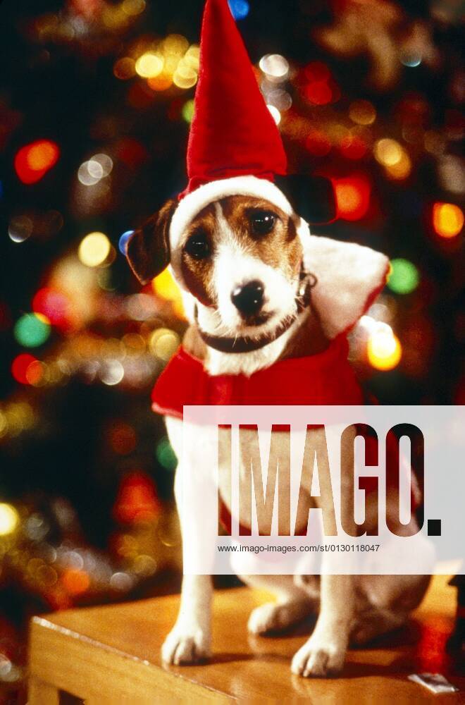 Merry Christmas Mrs Moskowitz 