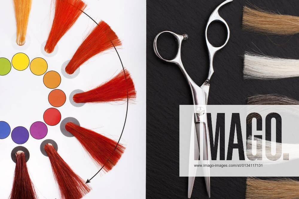 Coloristic circle. Hairdresser Accessories