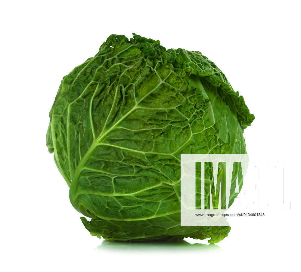 cabbage,savoy,wild mustard,cabbages,savoys,wild mustards