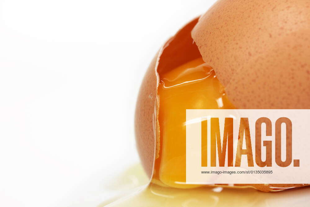 egg yolk,raw egg,egg yolks,raw eggs