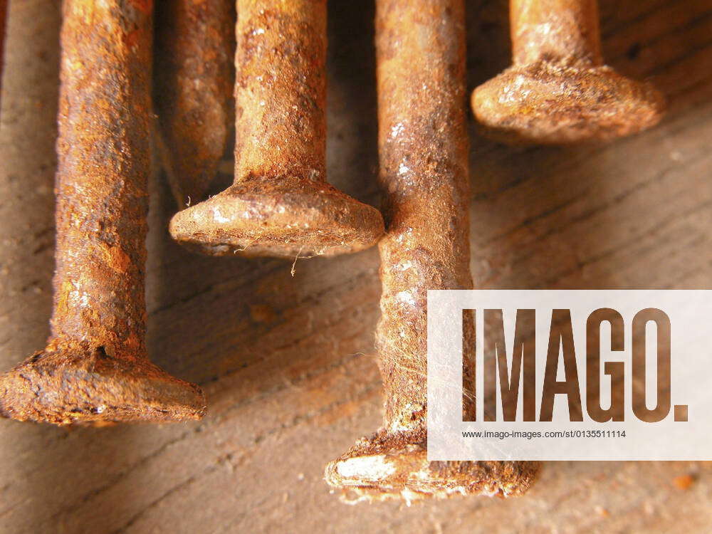 heads of rusty nails BLWS