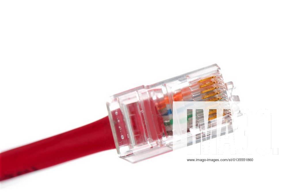 Cat 5 cable end xFotosearchxLBRFx xCSP_martyhaasx