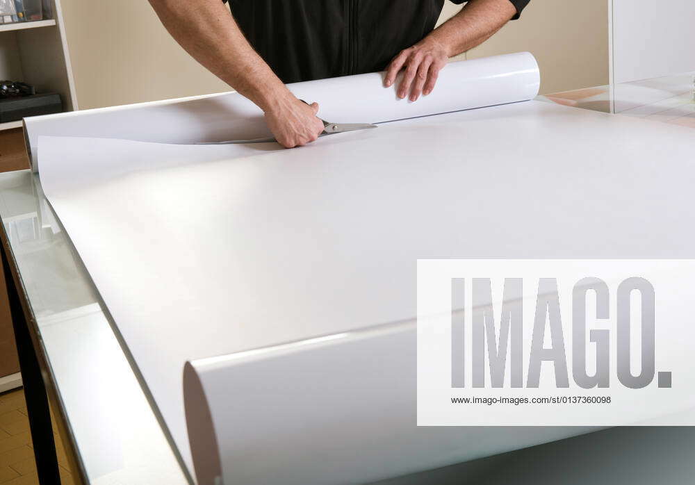 paper,paper roll,cut,papers,paper rolls,cuts