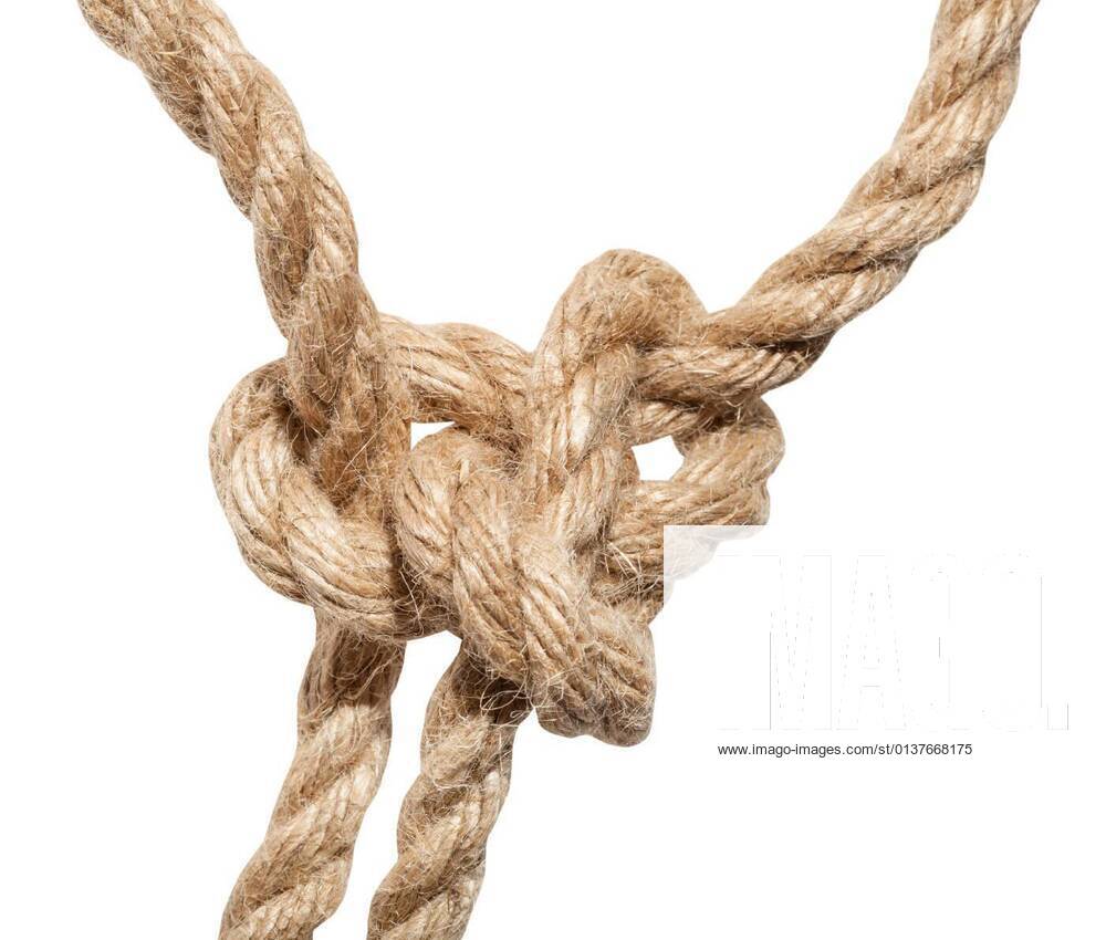 Running bowline store knot