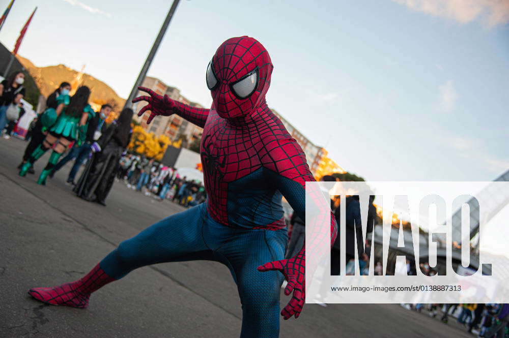 Spiderman costume: 二月 2014