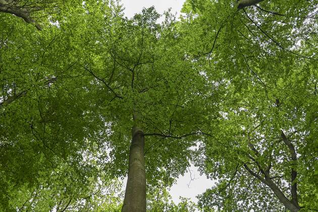 Friedwald Erdersche Strasse Kalletal Nordrhein Westfalen