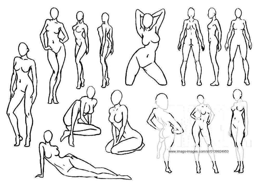 Sketch attractive graceful female body Royalty Free Vector