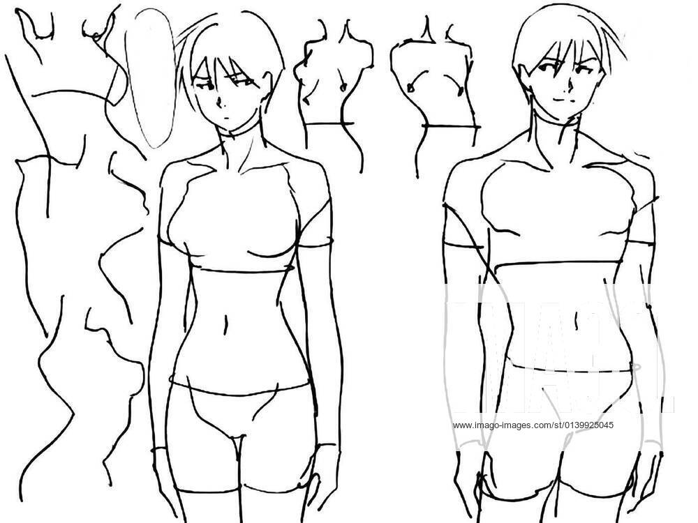 Female Human Body Sketch