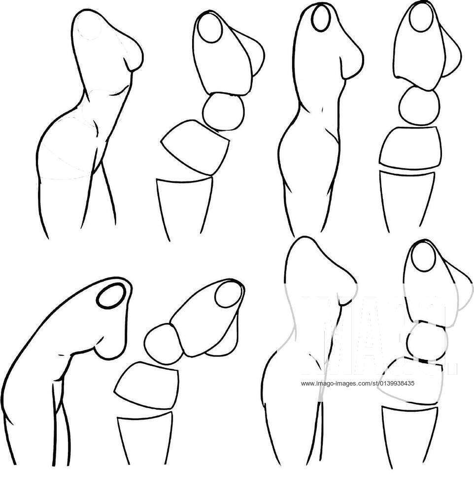 Common mistakes when drawing the torso - 4 #art #sketch #artist #tutor... |  TikTok