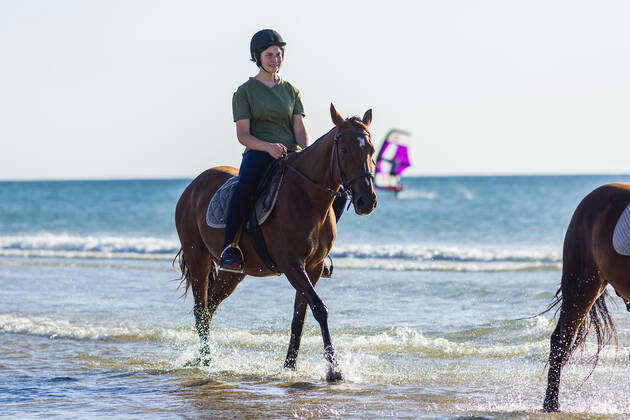 The girl Lilli rides a horse Equus on the sandy beach of the Atlantic ...