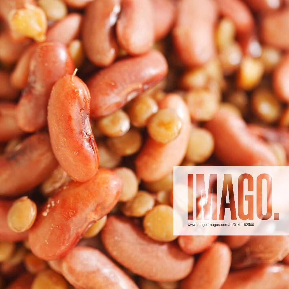 Cooked red beans and lentils xFotosearchxLBRFx xCSP_yellowjx