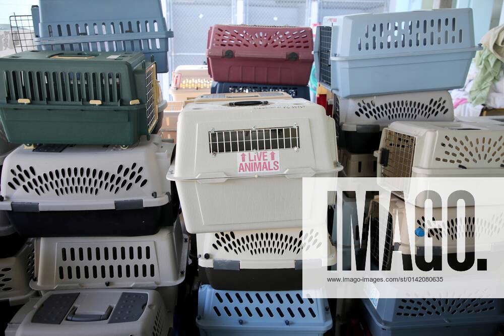 November 17, 2021, LARGO, Florida, USA Dozens of animal cages used to