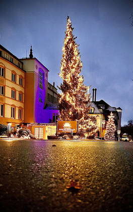 28 11 2021, First Advent in Bad Wörishofen The huge fir tree at the ...