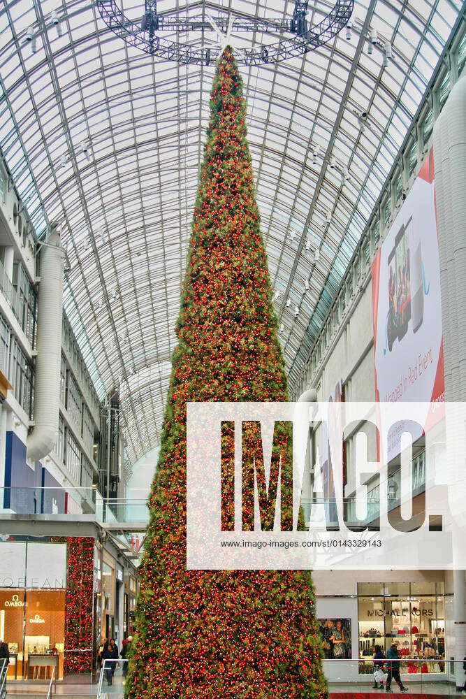 Christmas Season In Toronto The massive 100foot tall Christmas tree at