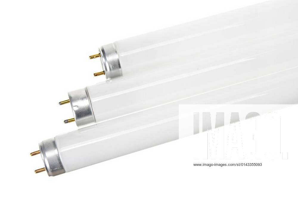Fluorescent Tubes xFotosearchxLBRFx xCSP_homestudiox ESY008886547