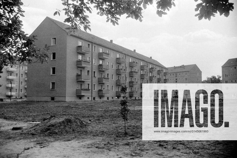 Bau Wohngebiet Waldstadt I Potsdam 1963 Historisches Bild und Foto: Bau ...