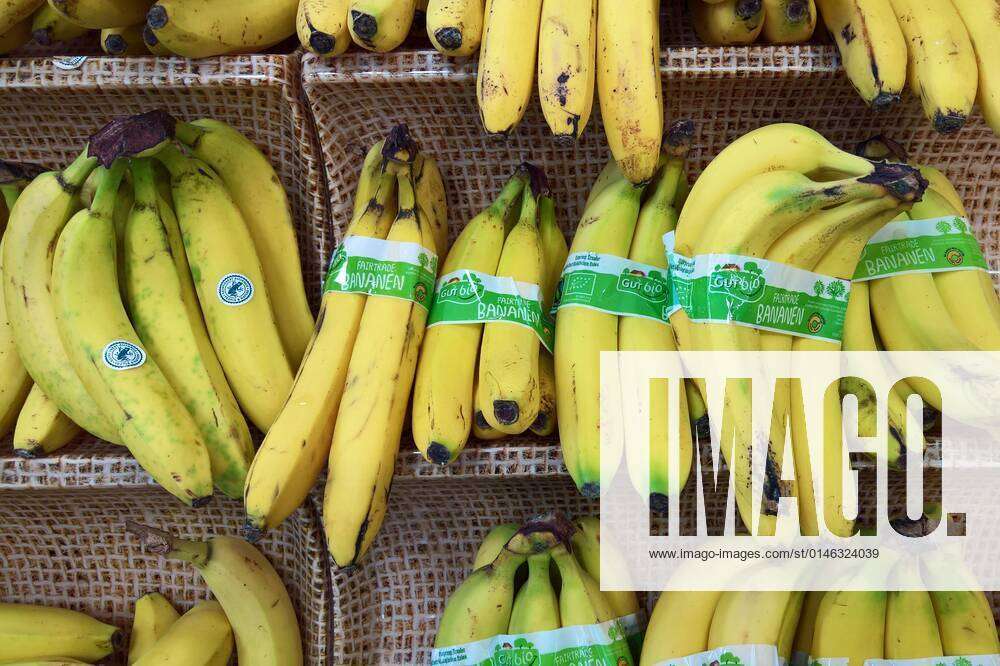 Gut banana range or bananas a the Bio Fairtrade of in Aldi is
