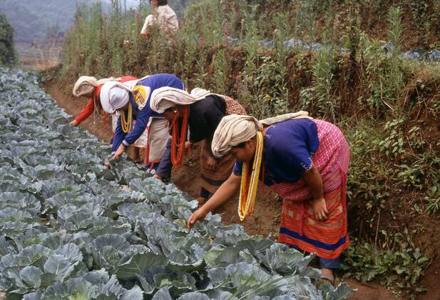 The Karen or Kayin people (Pwa Ka Nyaw Poe or Kanyaw in Sgaw Karen and ...